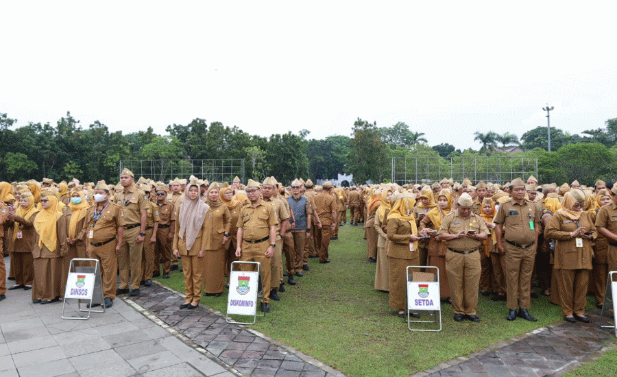 BKPSDM Ungkap 56 Honorer Tak Bisa Diproses, Ini Alasannya