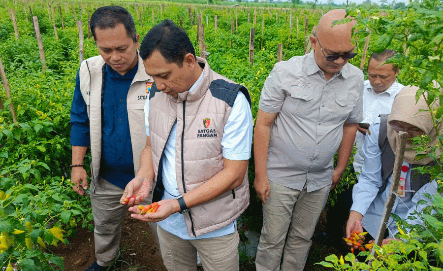 Satgas Pangan Pusat Pantau Harga Jelang Idul Fitri di Jawa Timur, Ini Hasilnya?
