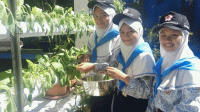 SMPN 2 Curug Ajarkan Siswa Menanam Tanaman Produktif dengan Metode Hidroponik SMPN 2 Curug Ajarkan Siswa Menanam Tanaman Produktif dengan Metode Hidroponik