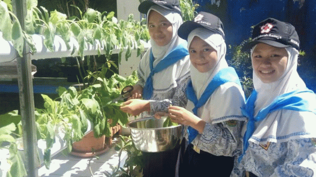 SMPN 2 Curug Ajarkan Siswa Menanam Tanaman Produktif dengan Metode Hidroponik