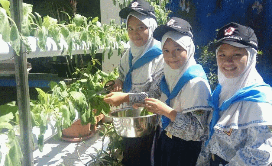 SMPN 2 Curug Ajarkan Siswa Menanam Tanaman Produktif dengan Metode Hidroponik