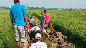 Drainase Ambrol, Warga Grand Madani Residence 2 Gotong Royong Bersihkan Saluran