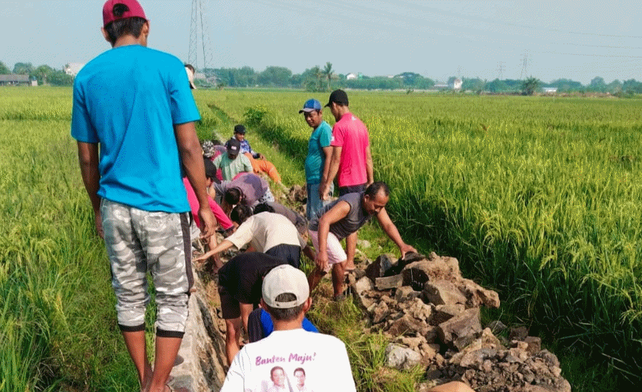 Drainase Ambrol, Warga Grand Madani Residence 2 Gotong Royong Bersihkan Saluran