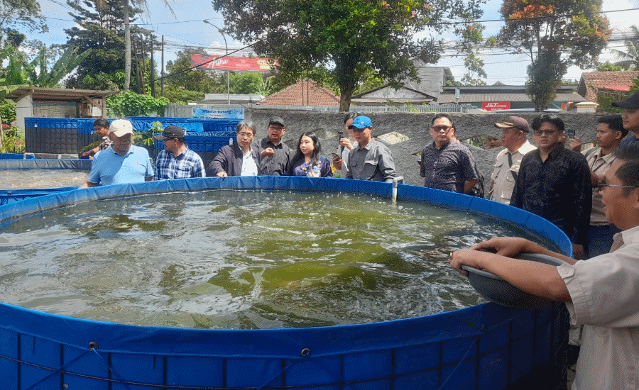 Diskan Kabupaten Serang Usulkan Tujuh Desa Ikut Program Bioflok KKP