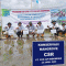 Masuki Tahun ke-11, PT YKK AP Indonesia Tanam 5.000 Mangrove di Pesisir Tangerang