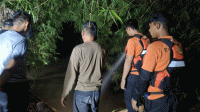 Bocah 5 Tahun di Kalanganyar Diduga Hanyut, Tim SAR Sisir Sungai Cisimeut