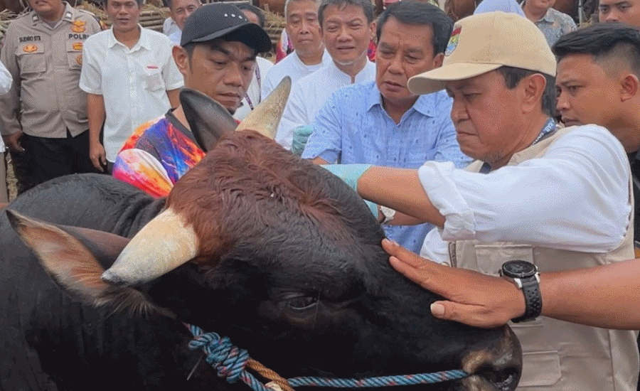 Bupati Tangerang Pastikan Hewan Kurban Sehat dan Aman Jelang Idul Adha