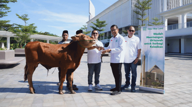 Rayakan Iduladha 1447 H, Yayasan Muslim Sinar Mas Land Salurkan 482 Hewan Kurban untuk Masyarakat