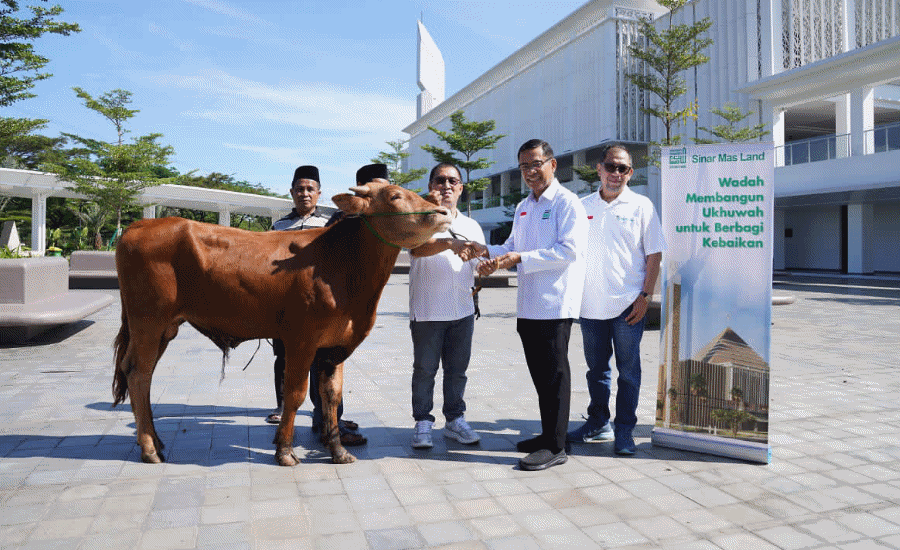 Rayakan Iduladha 1447 H, Yayasan Muslim Sinar Mas Land Salurkan 482 Hewan Kurban untuk Masyarakat