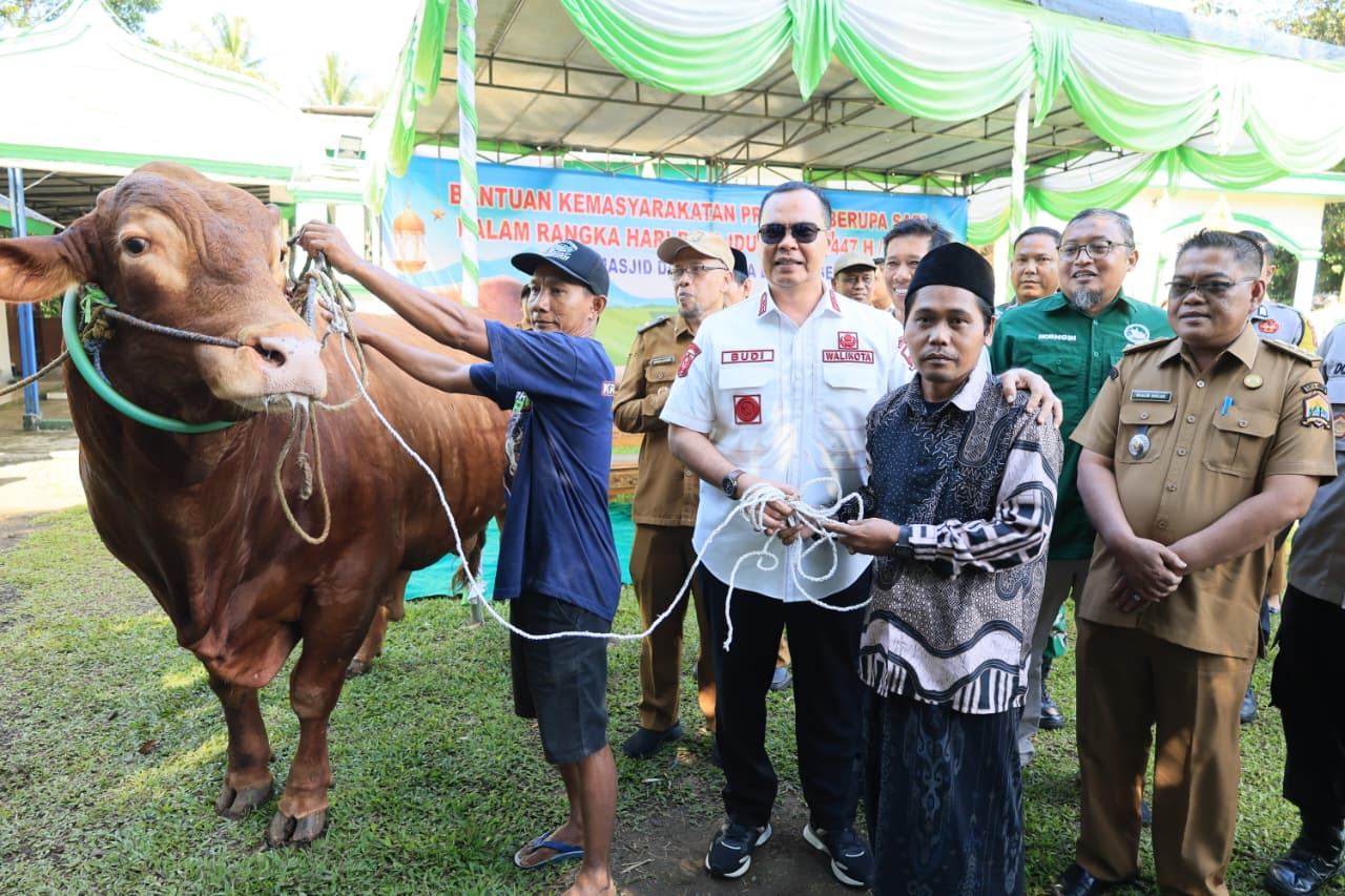 Wali Kota Serang Budi Rustandi menyalurkan bantuan hewan kurban menjelang Hari Raya Iduladha 1447 Hijriah, Selasa (26/5).