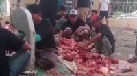 Mesin Potong Tulang Sindang Asih