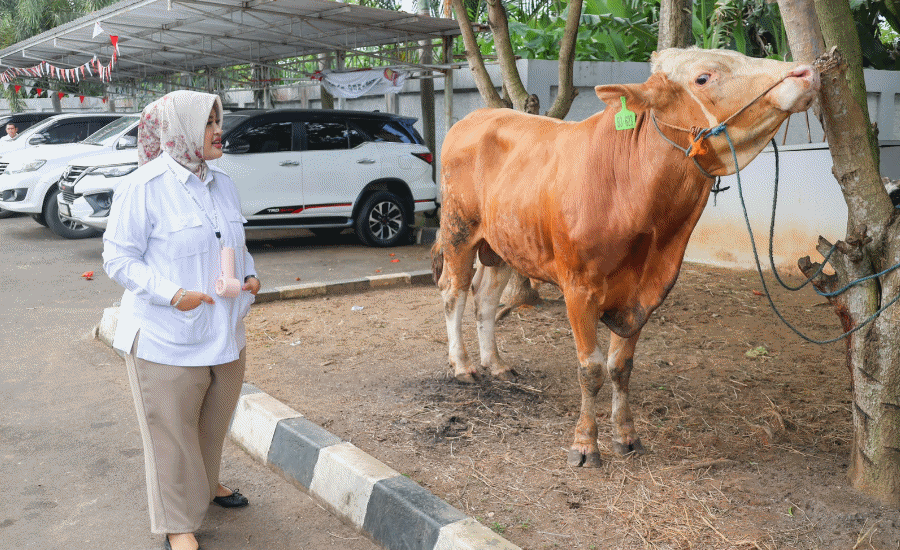 Annisa Mahesa Salurkan 63 Hewan Kurban untuk Masyarakat Banten