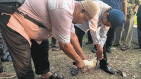 Peserta Pelatihan Juleha Dibekali Teori hingga Praktik Penyembelihan Halal Sesuai Syariat
