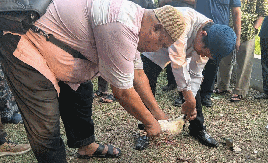 Peserta Pelatihan Juleha Dibekali Teori hingga Praktik Penyembelihan Halal Sesuai Syariat