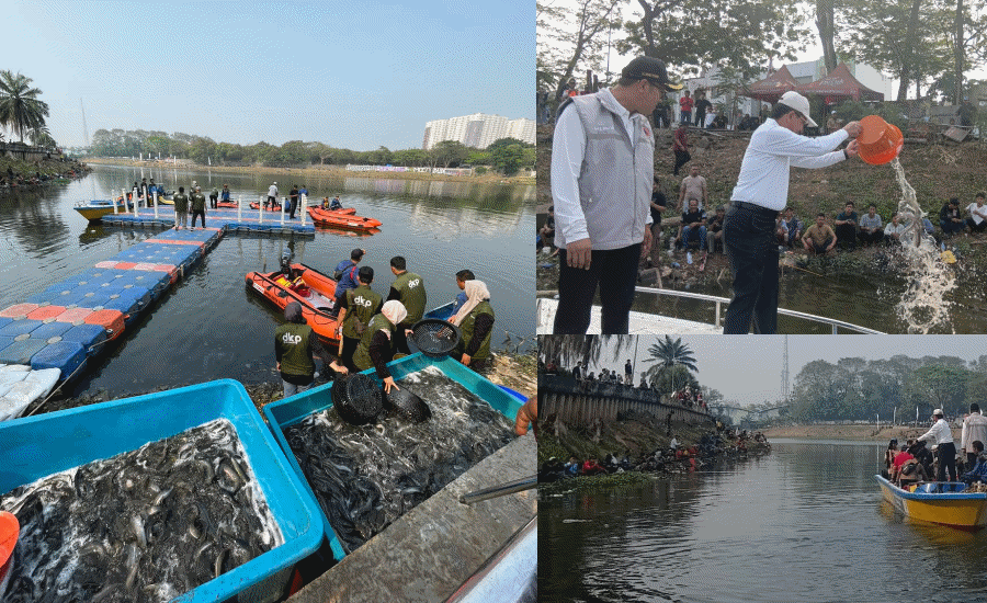 Semarak HUT ke-81 RI, Pemkot Tangerang Tebar 1 Ton Ikan Lele di Situ Gede