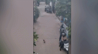 Maling Gasak Motor Istri RT di Mutiara Puri Harmoni Tangerang, Aksi Terekam CCTV Warga