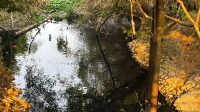 Sungai Tercemar